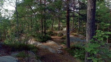Dağın tepesindeki orman. Kolsastoppen, Oslo, Norveç. Mt. Kolsastoppen, Oslo, Berum ve Oslo Fjord 'un muhteşem panoramik manzaralı yürüyüş alanı.