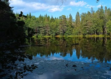 Norveç 'te ormandaki küçük cennet gölü. Seterstjern Gölü yakınlarındaki yürüyüş parkurunda. Kolsastoppen, Oslo, Norveç.