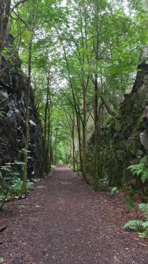 Norveç ormanlarında, Oslo, Norveç tepeleri arasındaki patika..
