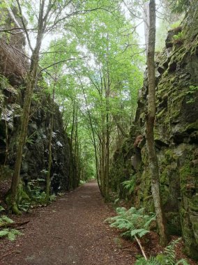 Norveç ormanlarında, Oslo, Norveç tepeleri arasındaki patika.. 