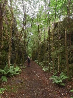 Norveç ormanlarında, Oslo, Norveç tepeleri arasındaki patika..