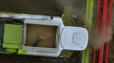  Arazide tahıl hasadını birleştirir. Saban. Tahıl ambarı Kırsal kesimde. Üst Manzara. Çiftçilik. Hava aracı görüntüleri. Yüksek kalite 4k görüntü