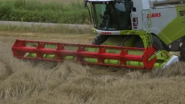 Riprese Video Del Raccolto Campo Con Colture Cerealicole Raccoglitore Combinato — Video Stock
