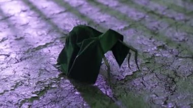  Siyah elbiseli bir örümcek kuru zeminde yürür. Siyah yeşil manto. Ürkütücü. Böcek. Kusursuz döngünün 3 boyutlu animasyonu. Yüksek kalite 4k görüntü