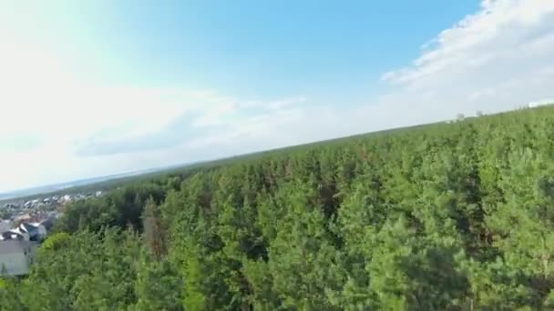 Let Nad Lesem Letecký Snímek Zelenými Stromy Fpv Drone Frames — Stock video