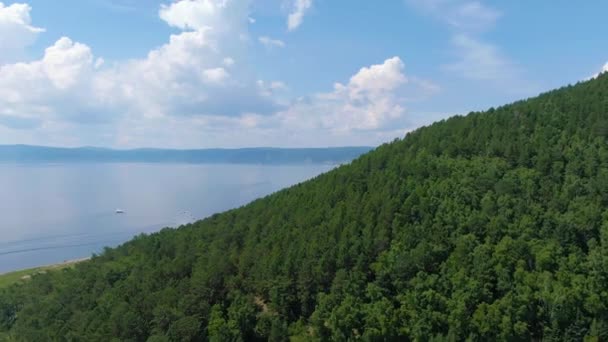 Let Nad Zeleným Lesem Břehu Jezera Divoká Zvěř Pobřeží Vodní — Stock video