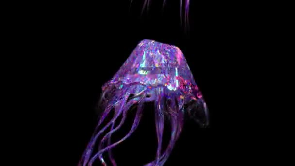 自然和动物的概念 钻石水母在黑暗的背景下游泳 蓝色粉红霓虹灯 3D动画无缝循环 高质量的4K镜头 — 图库视频影像