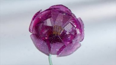 Doğa ve hayvanlar kavramı. Pistil elmas çiçeğin içinde dans ediyor. Mor renk. 3D animasyon. Yüksek kalite 4k görüntü