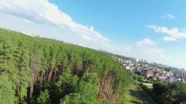 Şehrin yakınındaki ormanın üzerinden uçacağız. Doğa ve insan. FPV Drone 'dan ateş ediliyor. Yukarıdan ormanın manzarası. Yüksek kalite 4k görüntü