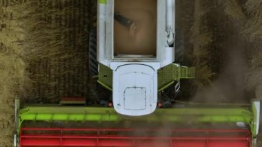 Arazide tahıl hasadını birleştirir. Saban. Tahıl ambarı Kırsal kesimde. Üst Manzara. Çiftçilik. Hava aracı görüntüleri. Yüksek kalite 4k görüntü