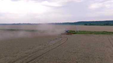 Tahıl tarlasında hasat yapan bir yan görünüm. Saban. Kırsal kesimde. Çiftçilik. Bir İHA 'nın hava görüntüsü. Yüksek kalite 4k görüntü