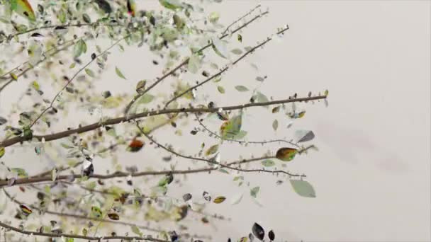 Понятие Природы Животных Бриллиантовые Ветви Листья Раскрывают Ощущение Формы Горилл — стоковое видео
