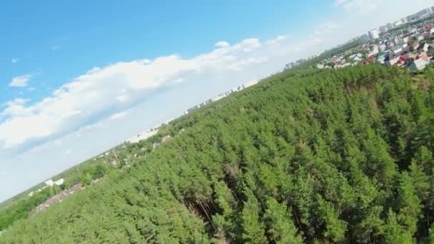 Egy Zöld Erdő Felett Éggel Szemben Lövöldözés Fpv Drónról Légi — Stock videók