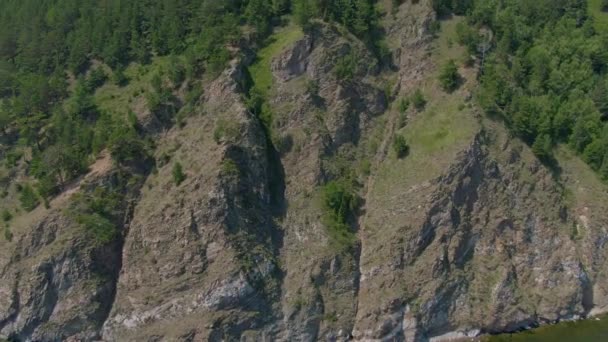 Luftaufnahmen Eines Felsigen Ufers Das Mit Wald Und Gras Bewachsen — Stockvideo
