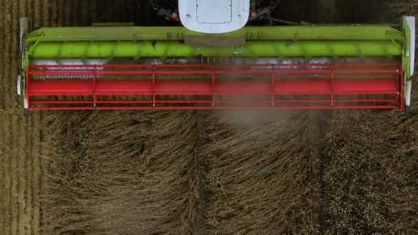 Arado Uma Colheitadeira Colheita Close Agricultura Agricultores Cor Verde Vermelha — Vídeo de Stock
