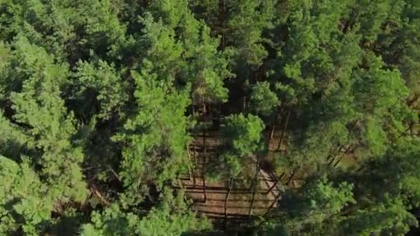 Vlieg Groen Bos Bovenaanzicht Luchtopname Van Fpv Drone Groene Bomen — Stockvideo