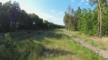 Ormanın içinde yol boyunca uçmak. FPV Drone 'dan ateş ediliyor. Yeşil çimenler ve ağaçlar. Doğa. Demiryolu. Yüksek kalite 4k görüntü