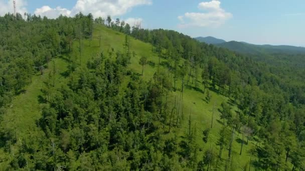 丘の上の緑の森の上を飛行 人間と自然 空中ドローン映像 野生動物 そうだ 高品質4K映像 — ストック動画