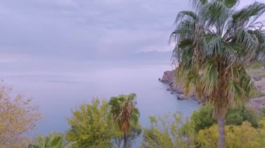  Sahil şeridi boyunca palmiyelerin üzerinden uçun. Sakin deniz. Tatilde. Doğa. Sahildeki oteller. Hava aracı video görüntüleri. Yüksek kalite 4k görüntü