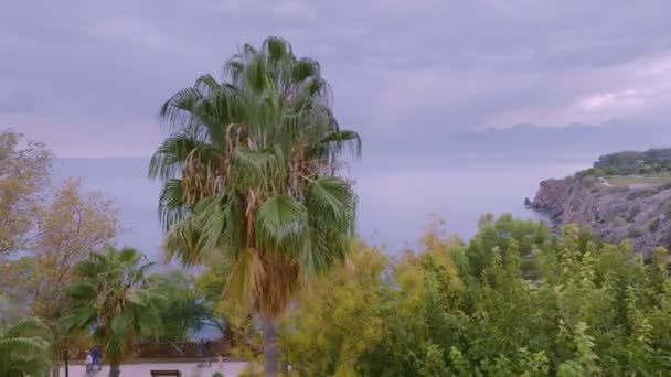 Lot Nad Terenem Parku Zielone Drzewa Palmy Ścieżki Chmurne Niebo — Wideo stockowe