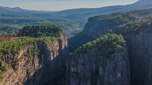 Paisagem Mágica Desfiladeiro Montanha Majestoso Desfiladeiro Pedras Árvores Verdes Imagens — Vídeo de Stock