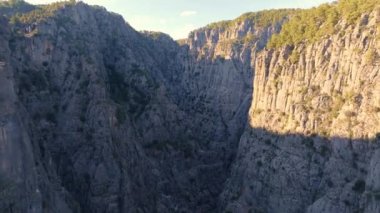 Derin bir kanyonun insansız hava aracı görüntüleri. Yüksek kayalar. Dar alan. Nehir aşağıda. Yeşil ağaçlar kayalar boyunca büyürler. Yüksek kalite 4k görüntü