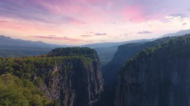 Derin bir kanyonun hava aracı görüntüsü. Dik kayalıklar ve yeşil ağaçlar. Vahşi yaşam konsepti. Günbatımı arka planı. Yüksek kalite 4k görüntü