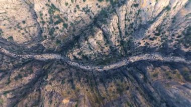 Kanyondaki bir dağ nehrinin insansız hava aracı görüntüleri. Yeşil çimenler kayaların üzerinde yetişir. Yüksek gri kayalar. Dar alan. Yüksek kalite 4k görüntü