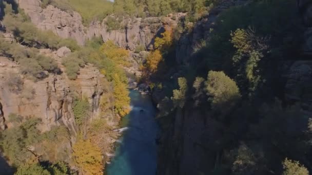 Bovenaanzicht Turquoise Bergrivier Rotskusten Videomateriaal Van Drone Groene Bomen Struiken — Stockvideo