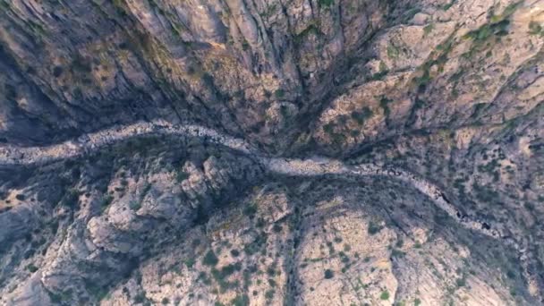 Вид Сверху Горную Реку Каменное Ущелье Сухое Русло Реки Зеленые — стоковое видео
