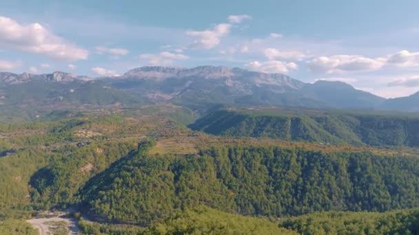 Video Droni Alberi Verdi Una Collina Contro Cielo Blu Paesaggio — Video Stock