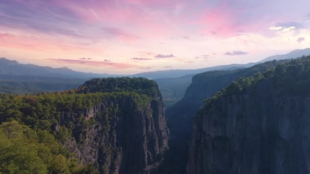 Видеозапись Воздушного Беспилотника Большого Глубокого Каньона Чистые Скалы Зеленые Деревья — стоковое видео