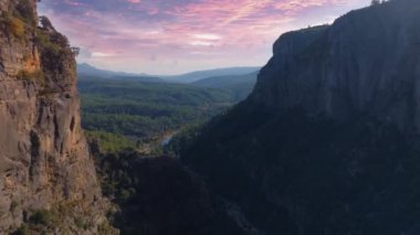 Derin bir kanyonun hava aracı görüntüsü. Yeşil vadideki nehir. Dik kayalıklar ve yeşil ağaçlar. Vahşi yaşam konsepti. Günbatımı arka planı. Yüksek kalite 4k görüntü