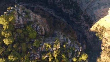 Kanyonun tepesi ve dağ nehri manzarası. Uçurumun tepesinde yeşil ağaçlar büyür. Dağ yarığı. Yüksek kalite 4k görüntü