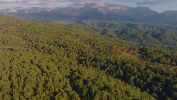 Літає Над Вершинами Зелених Дерев Гармонія Природою Гори Небо Фоні — стокове відео