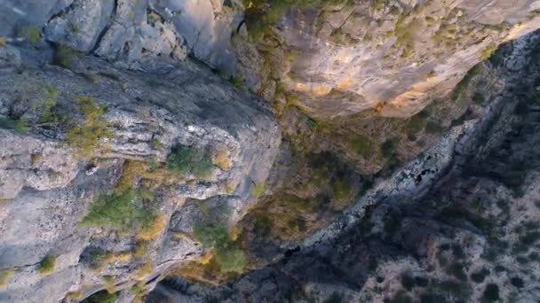 Horní Pohled Horskou Řeku Skalnaté Břehy Videozáznam Dronu Zelené Keře — Stock video
