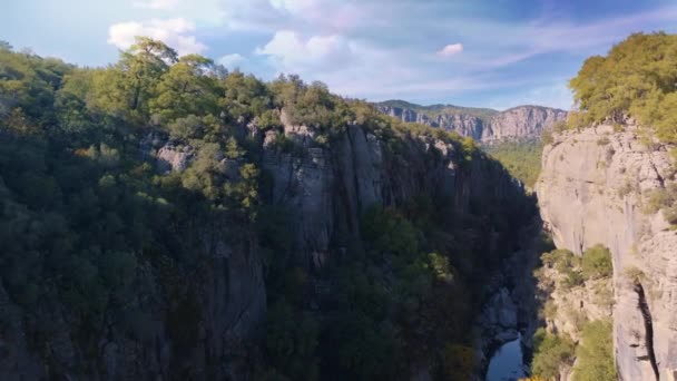 Αεροπλάνο Τηλεκατευθυνόμενο Βίντεο Κάτοψη Του Ποταμού Του Βουνού Πράσινα Δέντρα — Αρχείο Βίντεο