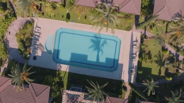 从酒店区域无人机拍摄的空中录像 顶部视图 游泳池 棕榈树 日光浴 高质量的4K镜头 — 图库视频影像