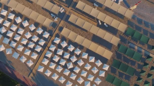 Відеозапис Безпілотного Літака Вид Зверху Пляжні Стільці Пальми Пісок Пляжні — стокове відео