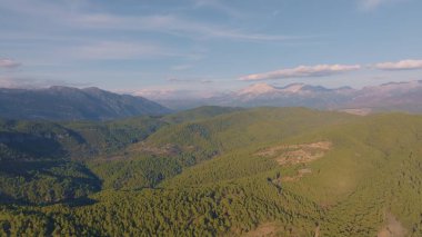 Mavi gökyüzüne karşı tepedeki yeşil ağaçların hava aracı görüntüsü. Dağ manzarası. Kanyon. Yeşil Orman. Yol. Yüksek kalite fotoğraf
