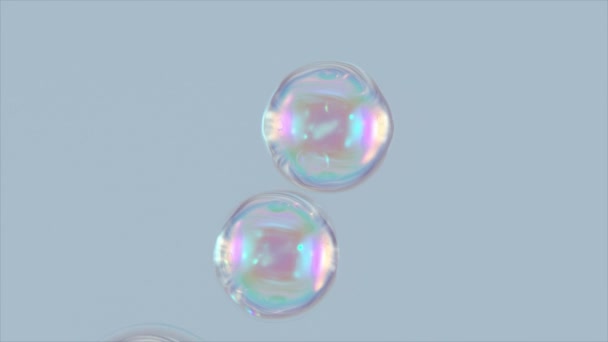 Transparent Soap Bubbles Fly Gather Together Bubble Rainbow Lather Lots — Vídeo de Stock