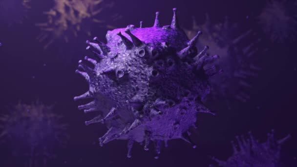 Mor Arka Planda Grip Virüsü Hücresi Nsanlarda Bulaşıcı Hastalıklar Enfeksiyon — Stok video