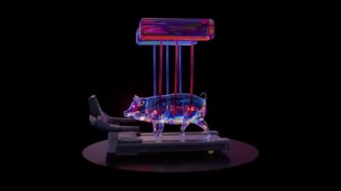  Soyut kavram. Elmas Domuz yukarıdaki cihaza bağlı. Koşu bandında egzersiz. Spor. Mavi kırmızı neon rengi. 3D animasyon. Yüksek kalite 4k görüntü
