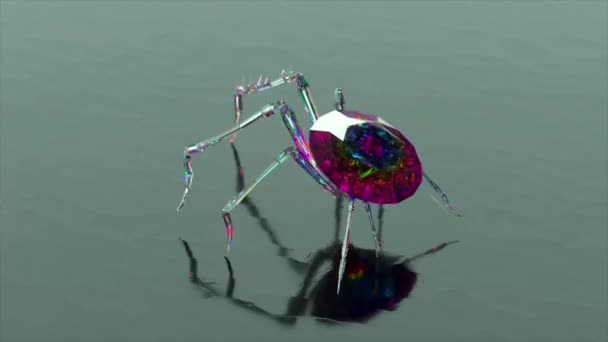 Spider Ένα Σώμα Από Μια Μεγάλη Πέτρα Διαμάντι Βόλτες Μια — Αρχείο Βίντεο