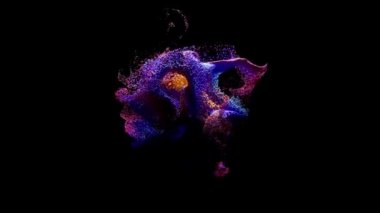 Soyut kavram. Bir kasırga, izole edilmiş siyah arka planda kaotik hareketli renkli parçacıklar bulutu. Mavi, mor, pembe renk. Kusursuz bir döngünün 3 boyutlu animasyonu. Yüksek kalite 4k görüntü