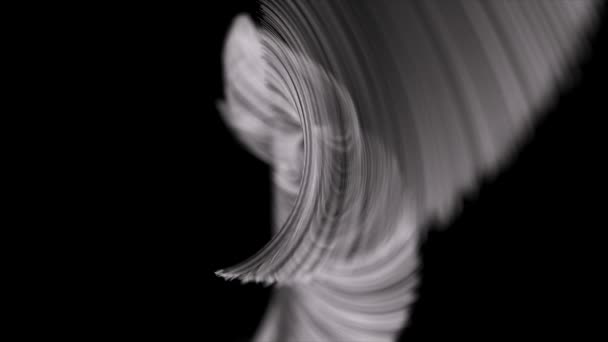 Abstract Concept Many White Thin Lines Draw Swirling Patterns Dark — Stock Video