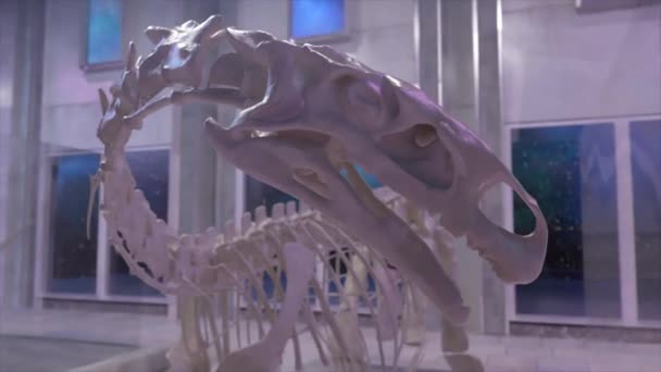 Concepto Historia Antigua Esqueleto Dinosaurio Cerca Museo Paleontológico Cabeza Dinosaurio — Vídeo de stock