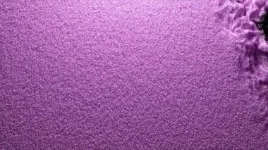 Soyut kavram. Siyah izole bir arka planda renkli toz dağılır. Kum. Püskürt. Mor renk. Ağır çekim. 3d canlandırma.