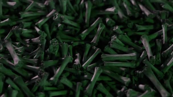 无数的尸骨散落在地上 战争和启示录的概念 无缝循环的3D动画 — 图库视频影像