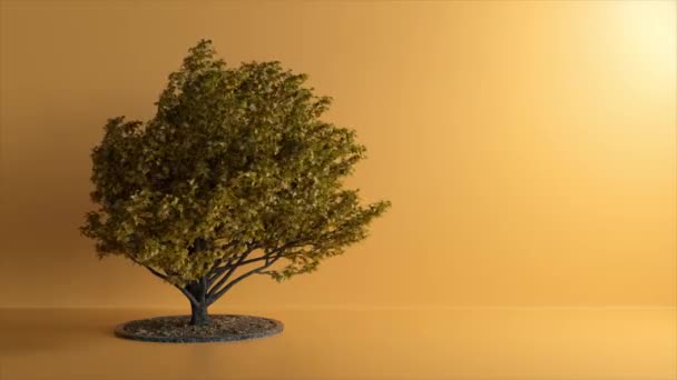 오렌지색 배경에 스튜디오에서 바람이 가지와 나뭇잎을 흔들어 애니메이션 — 비디오